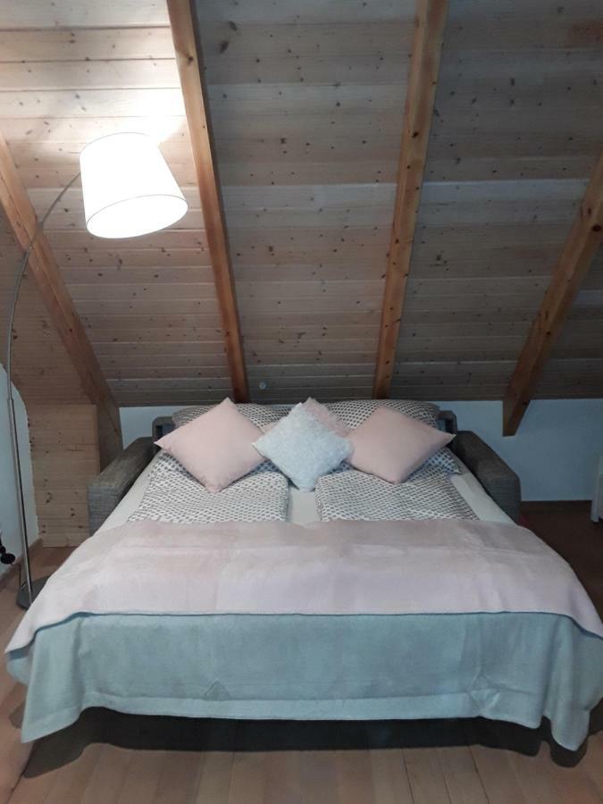 Sweet Home Suite Hallerndorf Extérieur photo
